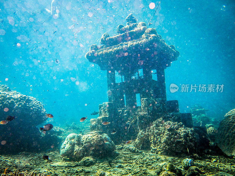 水下沉没的人工礁，金字塔，Jemeluk, Tulamben，阿米德，巴厘岛